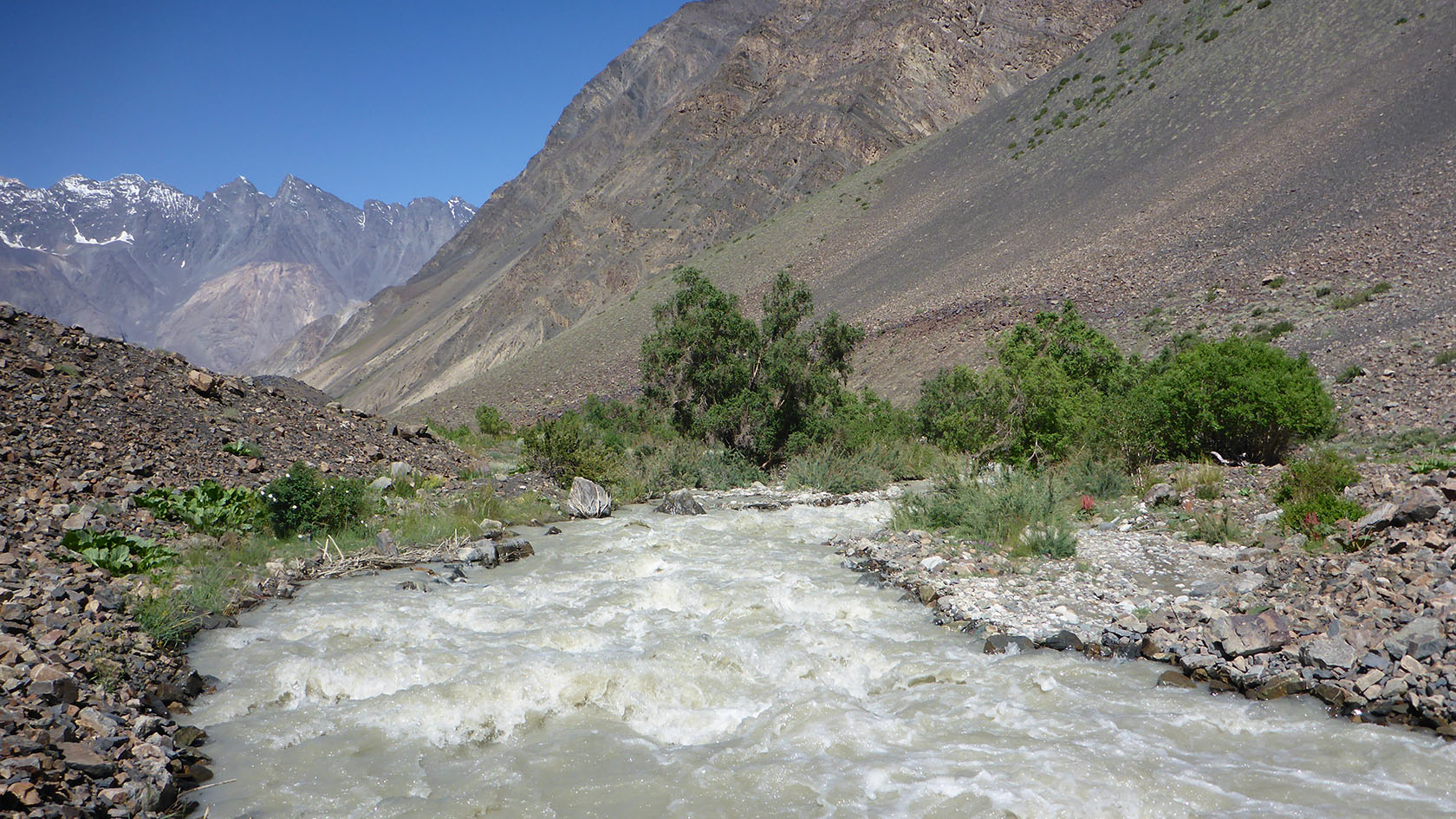 Шадау, image of landscape/habitat.