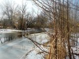 Павловский Посад и окрестности, image of landscape/habitat.