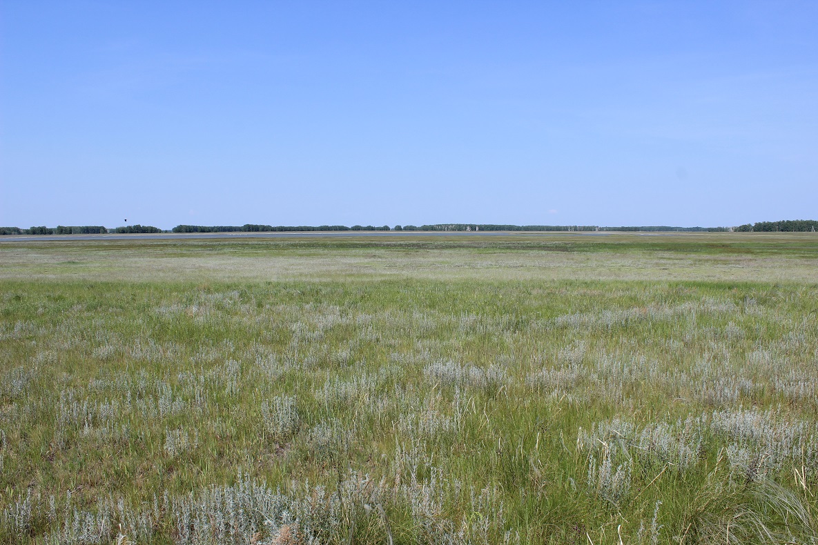 Троицкая степь, image of landscape/habitat.