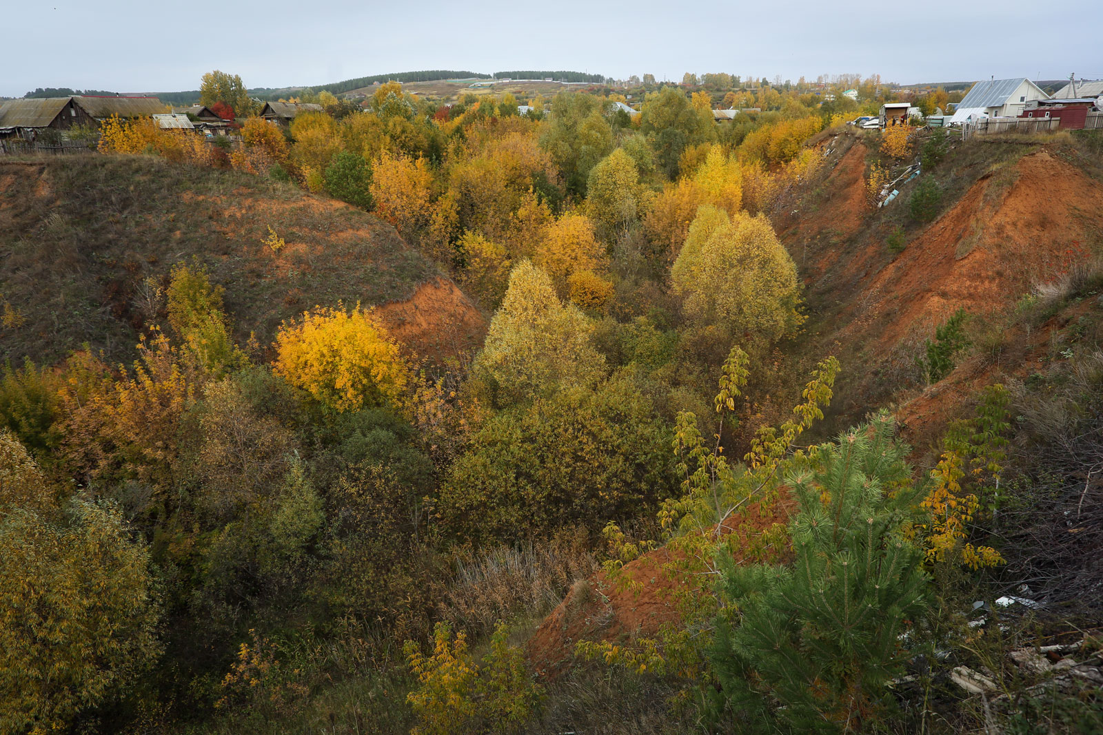 Окрестности села Красный Бор, image of landscape/habitat.