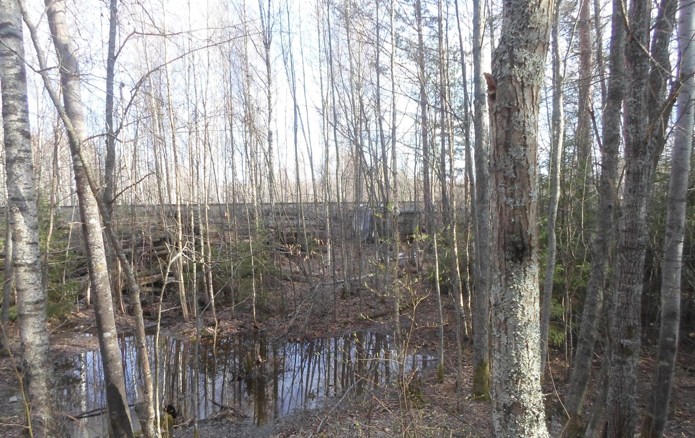 Железная дорога, image of landscape/habitat.