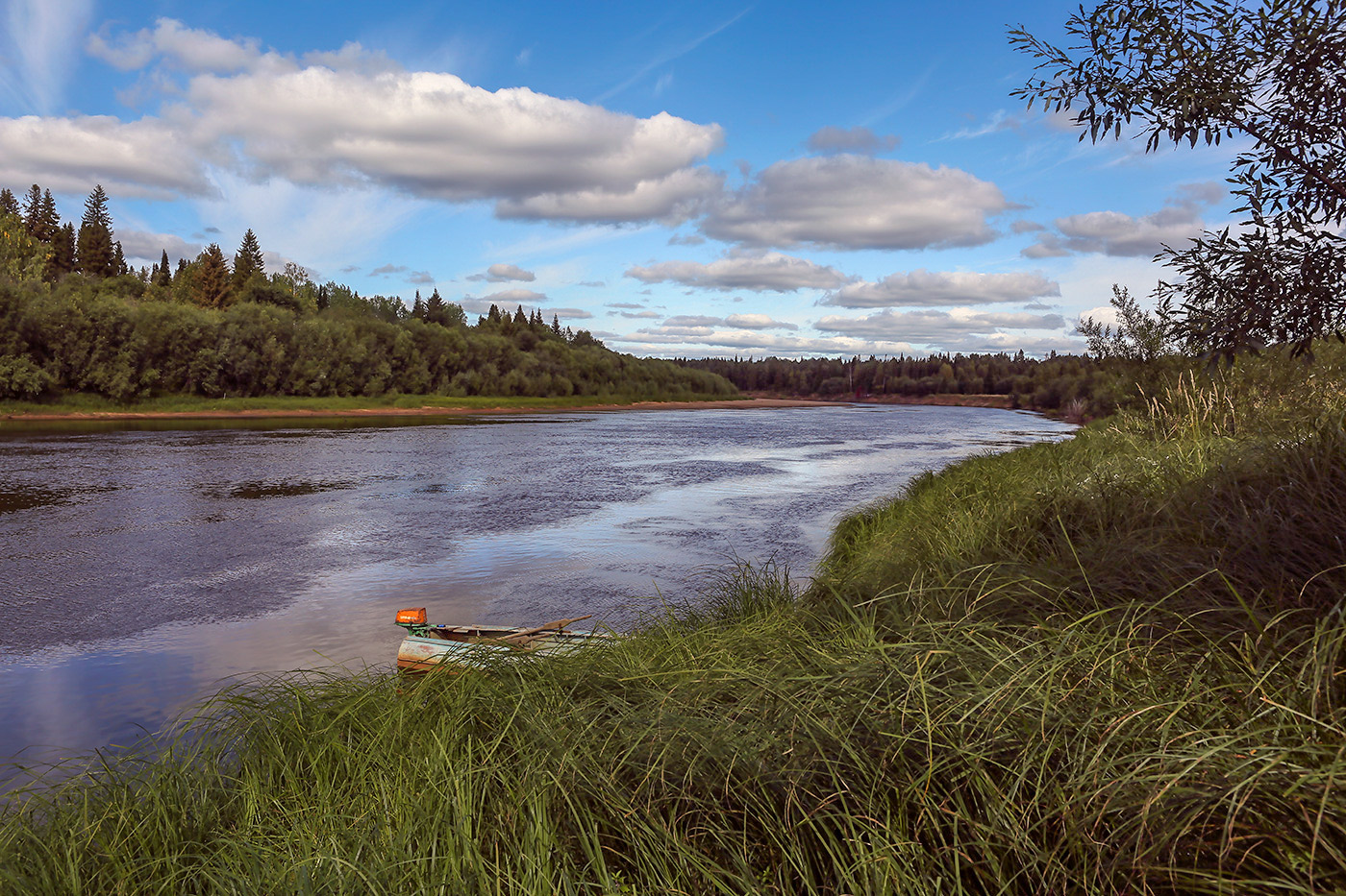 Окрестности посёлка Тупрунка, image of landscape/habitat.