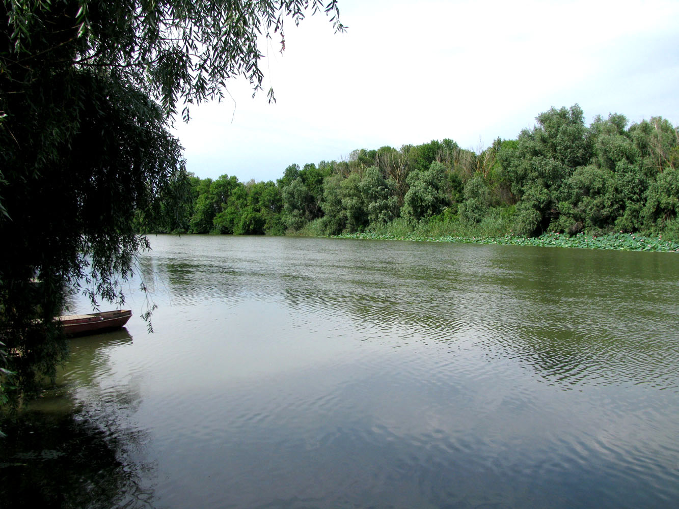 Болда, image of landscape/habitat.