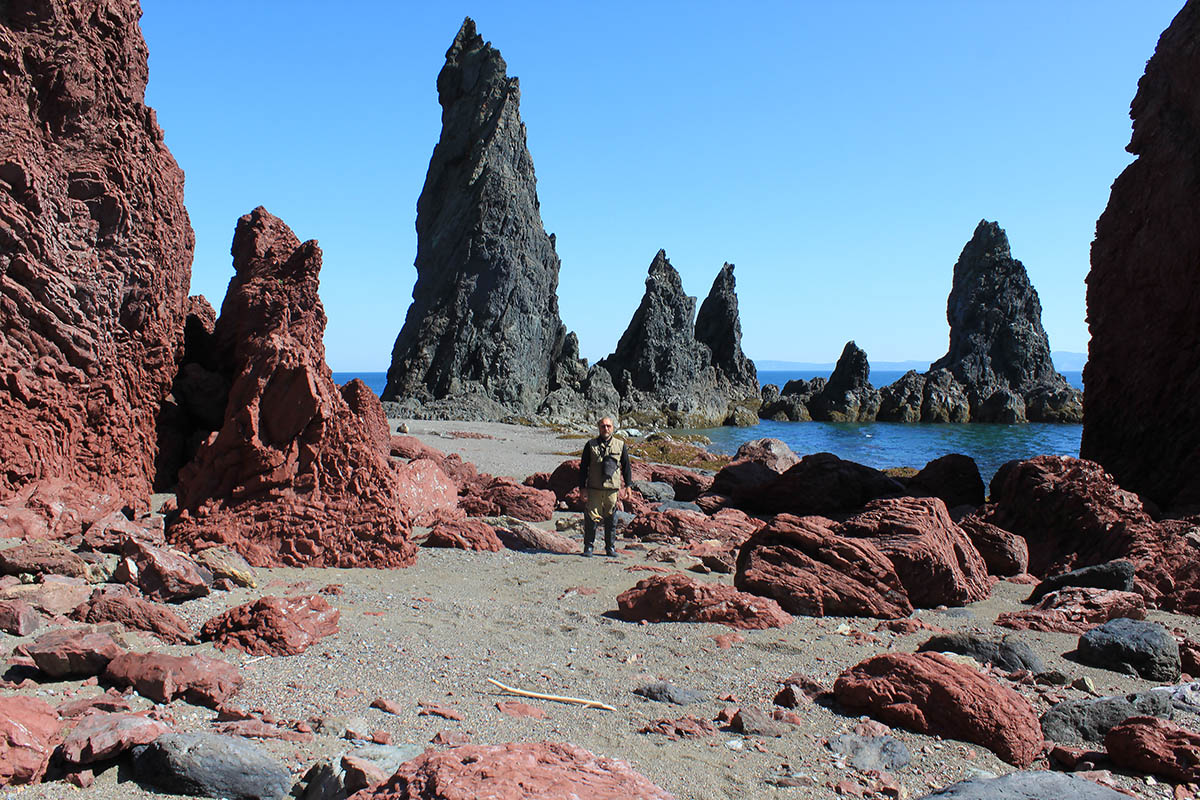 Остров Феклистова, image of landscape/habitat.