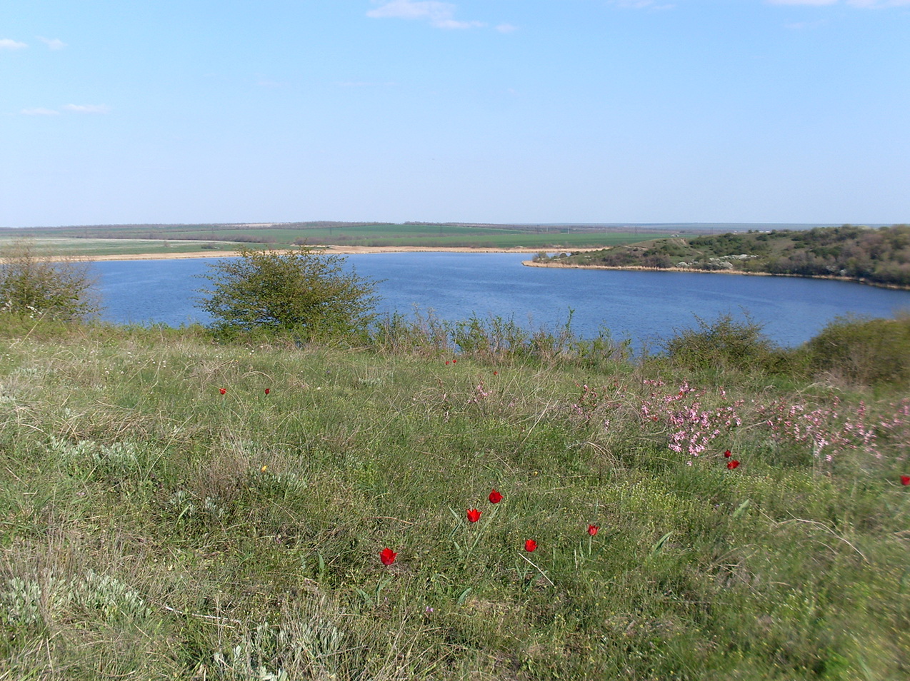 Урочище Терновый Яр, image of landscape/habitat.
