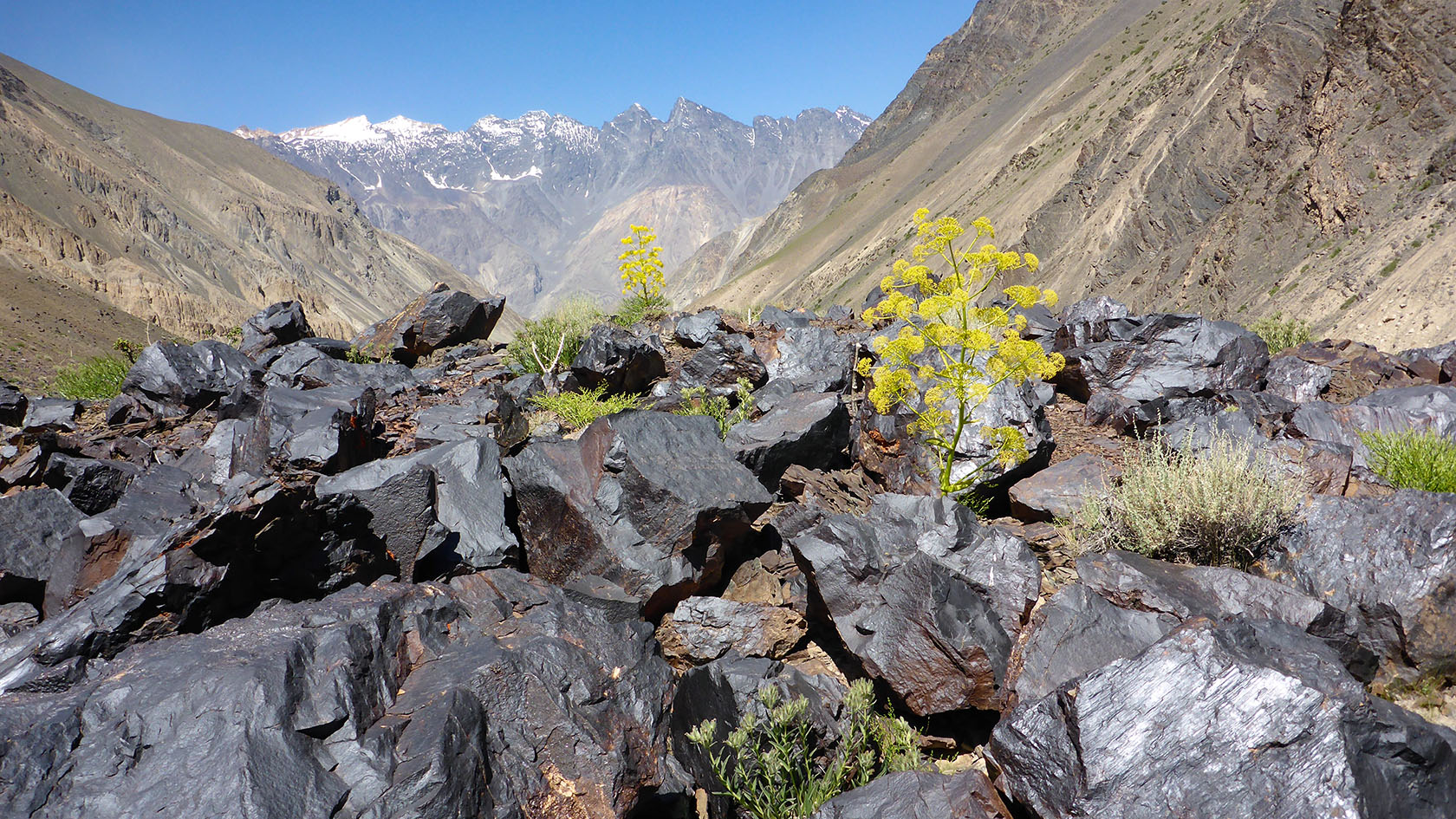 Шадау, image of landscape/habitat.