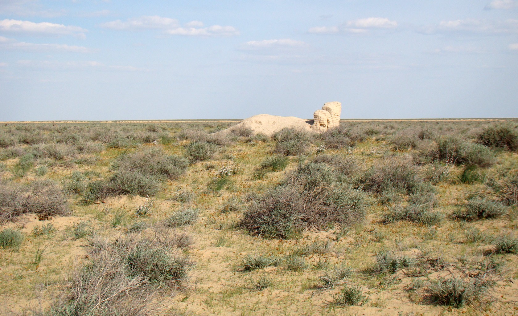 Байконур, image of landscape/habitat.