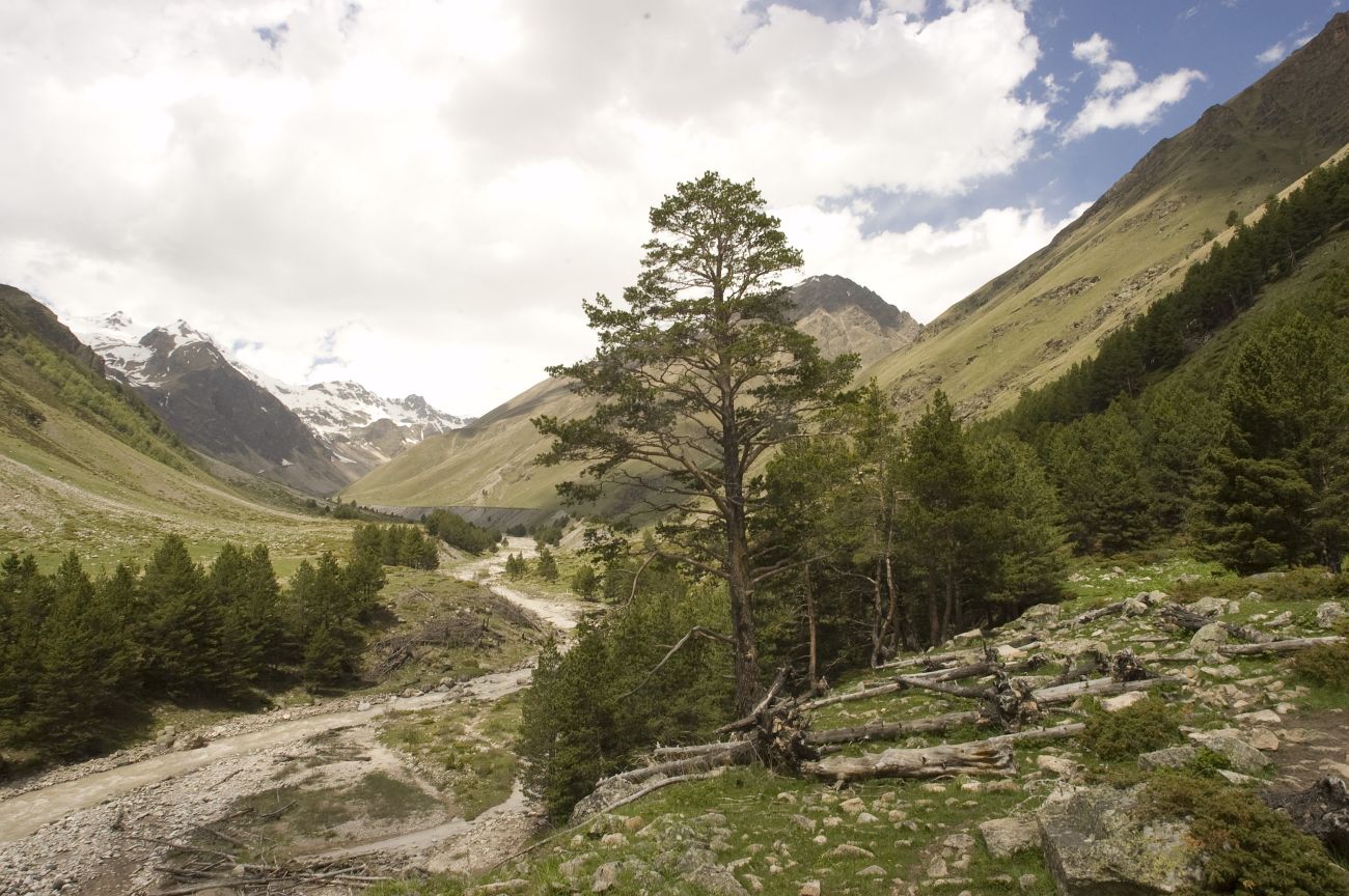 Долина реки Ирик, image of landscape/habitat.