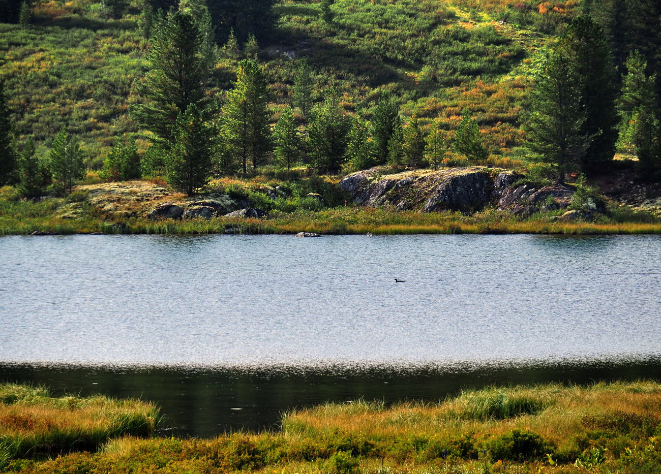 Чёрное озеро, image of landscape/habitat.