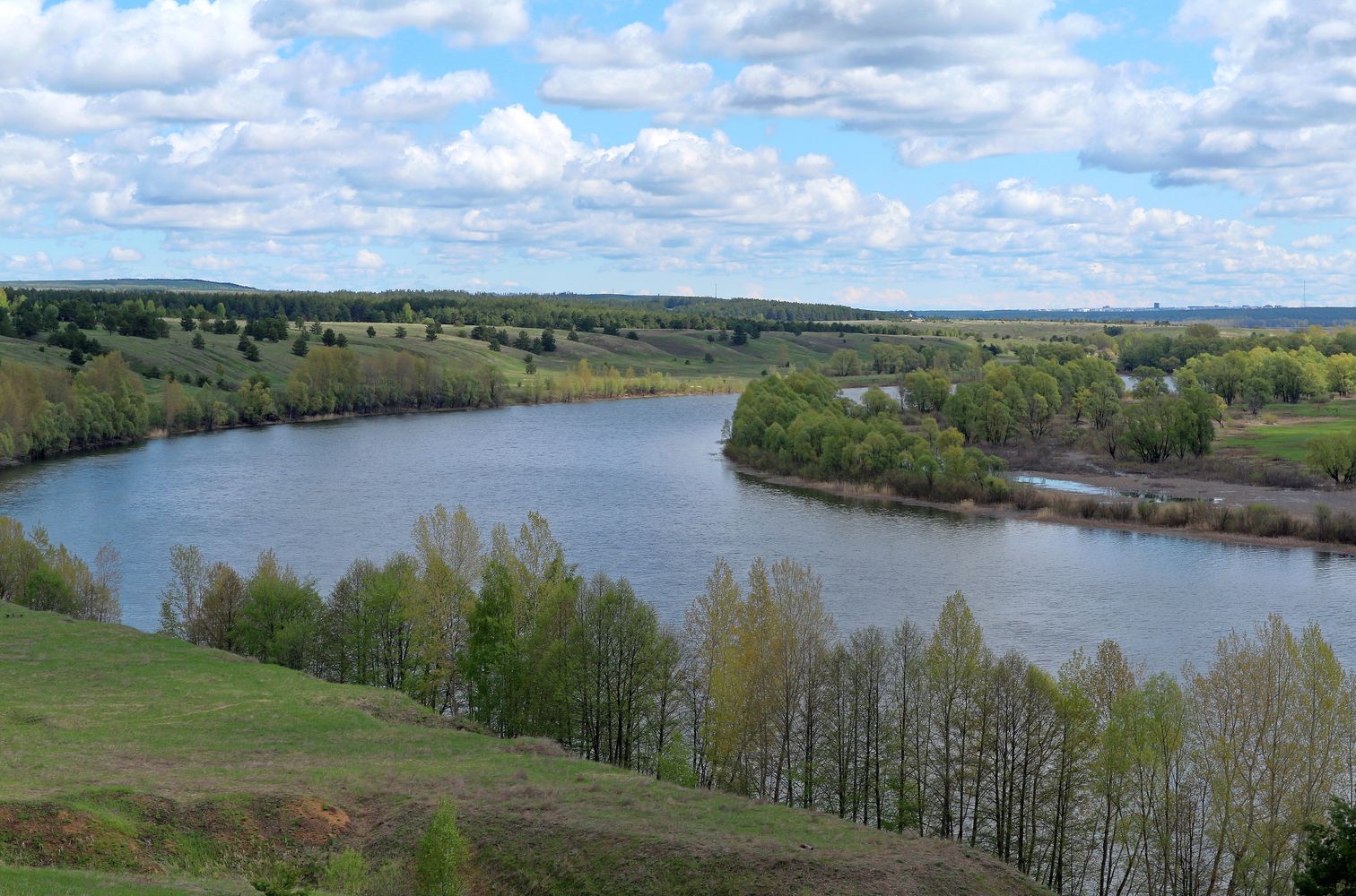 Окрестности села Свиногорье, image of landscape/habitat.