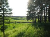 Image of landscape