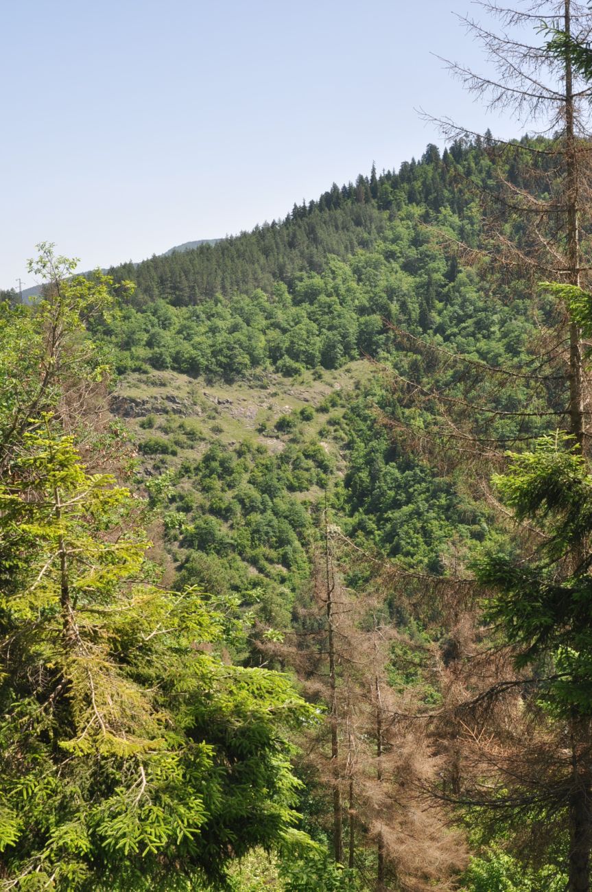 Колесо "Плато", image of landscape/habitat.