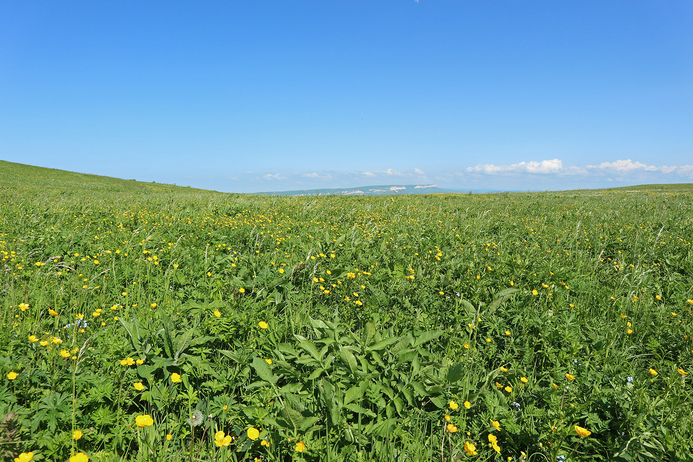 Джангур, image of landscape/habitat.