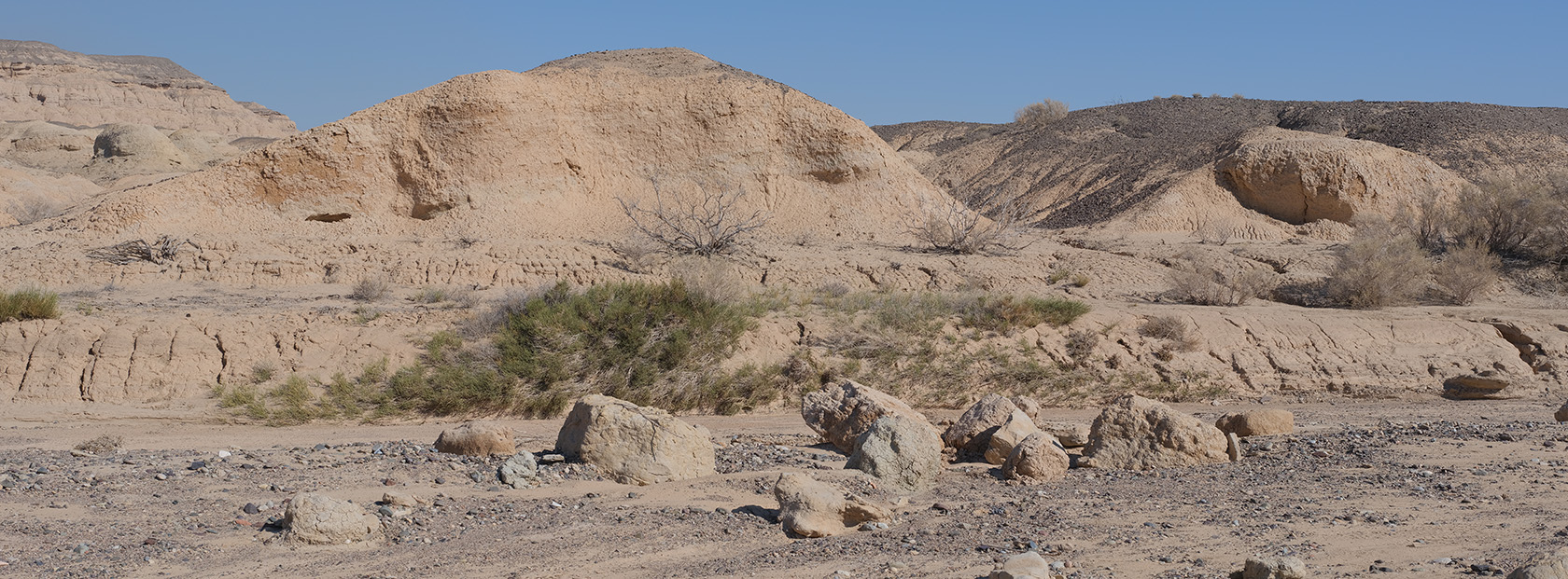 Сарымсакты, image of landscape/habitat.