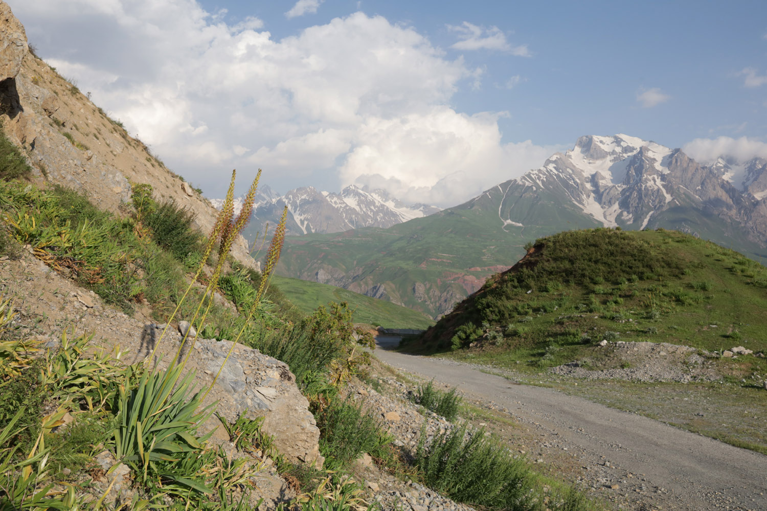 Сияку, image of landscape/habitat.