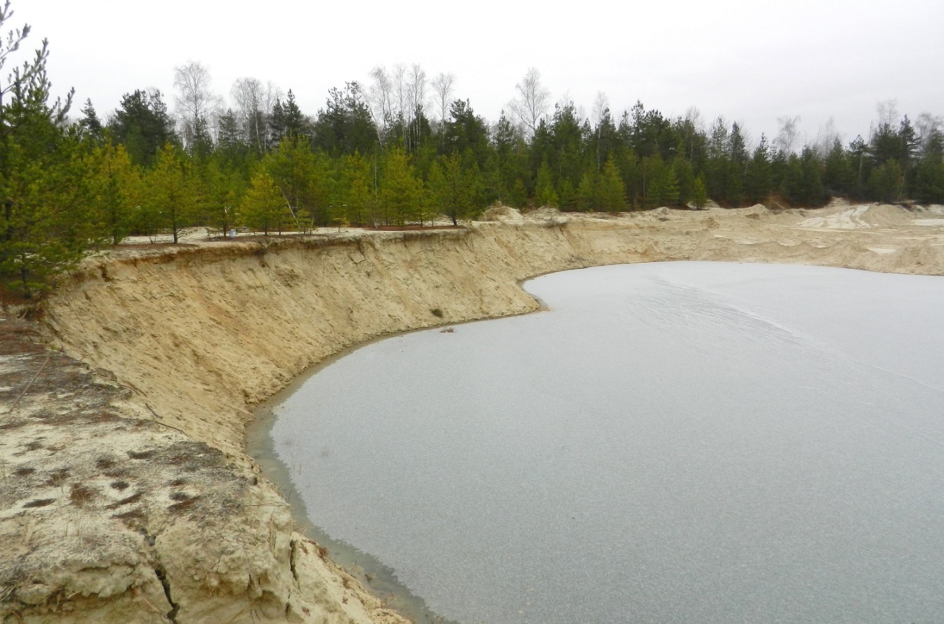 Песчаные карьеры Электрогорска, image of landscape/habitat.