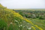 Дубовый Рынок, image of landscape/habitat.