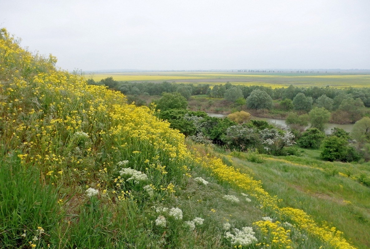 Дубовый Рынок, image of landscape/habitat.