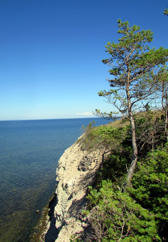 Заповедник Панга, image of landscape/habitat.