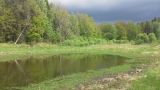 Чёлоховский пруд, image of landscape/habitat.