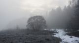 Image of landscape