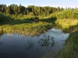 Image of landscape