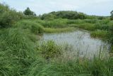 Филатова Гора, image of landscape/habitat.