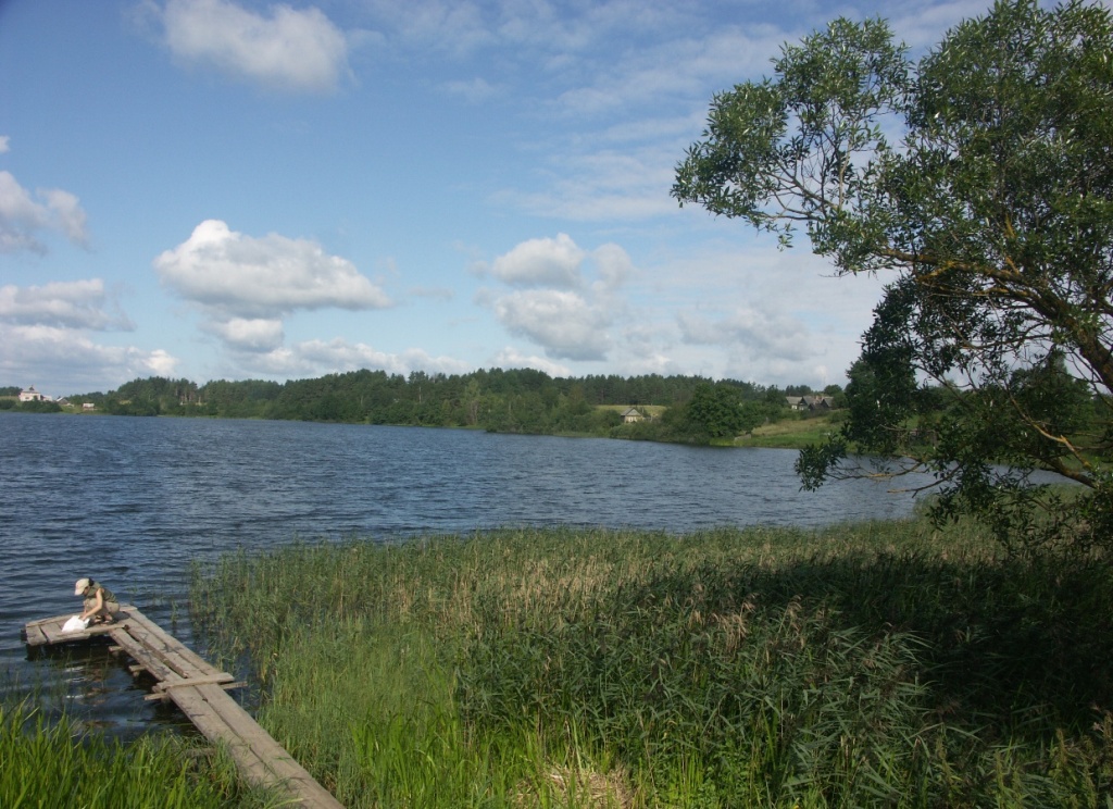 НП "Себежский", image of landscape/habitat.