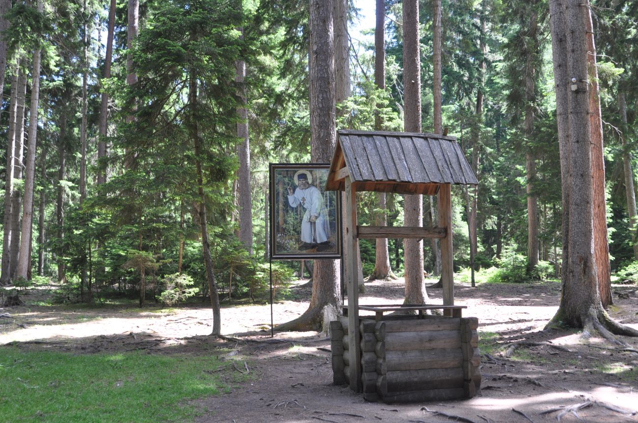 Церковь Серафима Саровского, image of landscape/habitat.
