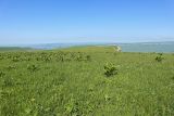 Джангур, image of landscape/habitat.
