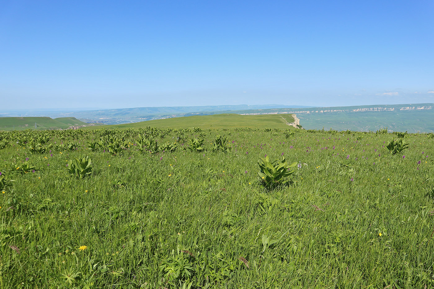 Джангур, image of landscape/habitat.