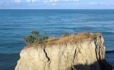 Image of landscape