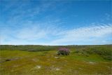 Image of landscape