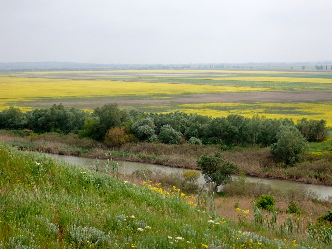 Дубовый Рынок, image of landscape/habitat.