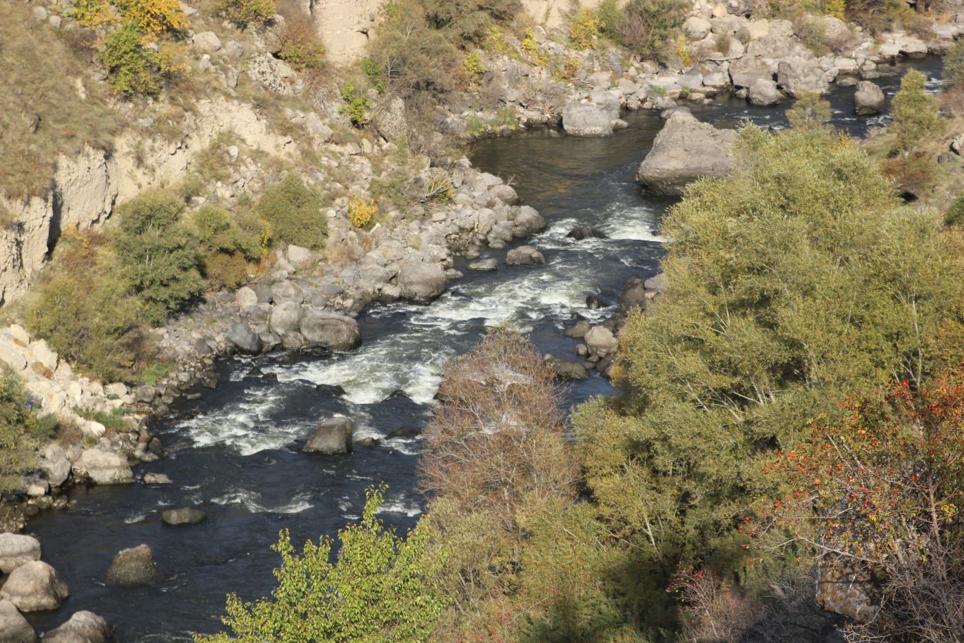 Окрестности села Тмогви, image of landscape/habitat.