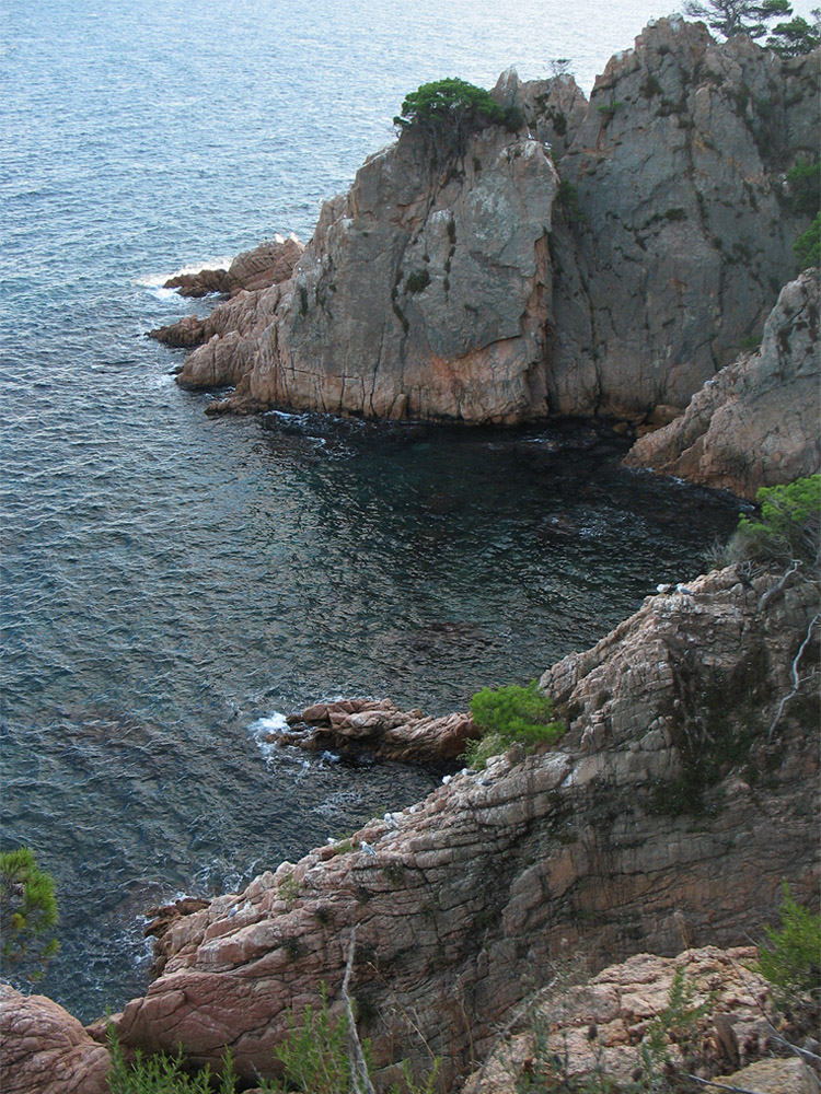 Sant Feliu de Guixols, image of landscape/habitat.
