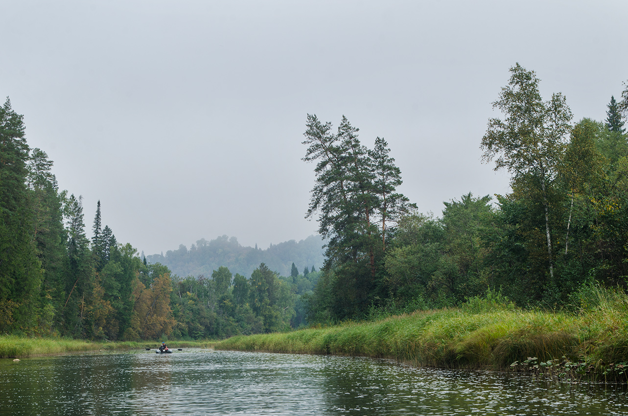 Окрестности Бакеевского моста, image of landscape/habitat.