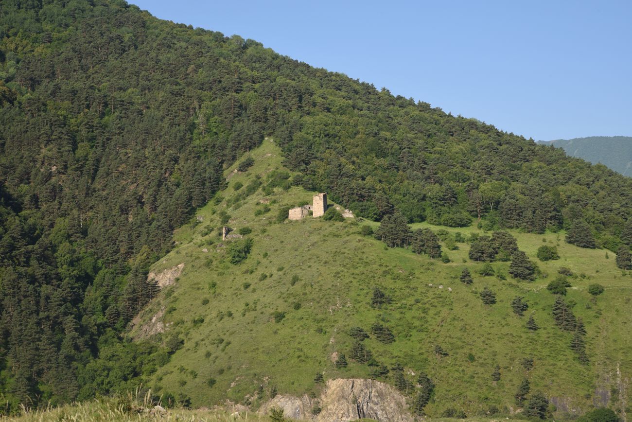 Урочище Верхний Пуй, image of landscape/habitat.