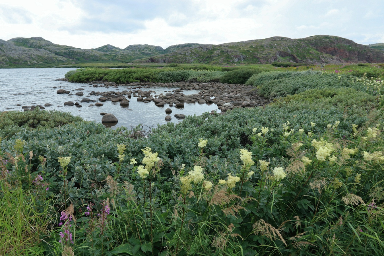 Териберка, image of landscape/habitat.