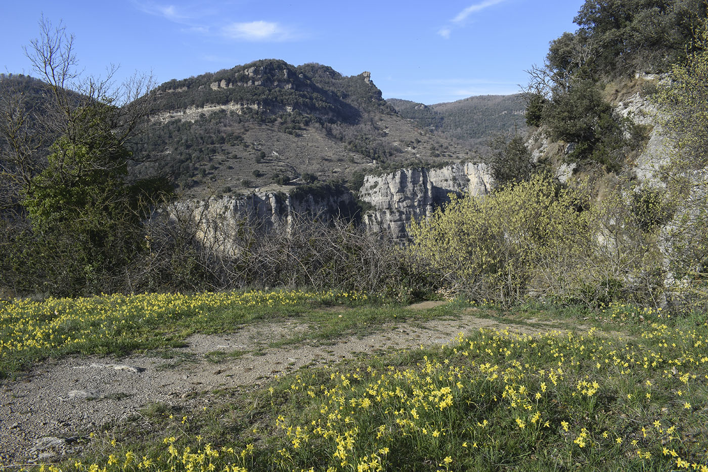 Водопад Сальт-де-Сальент, image of landscape/habitat.