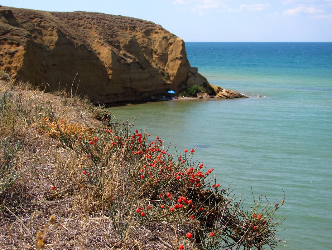 Мыс Лукулл, изображение ландшафта.