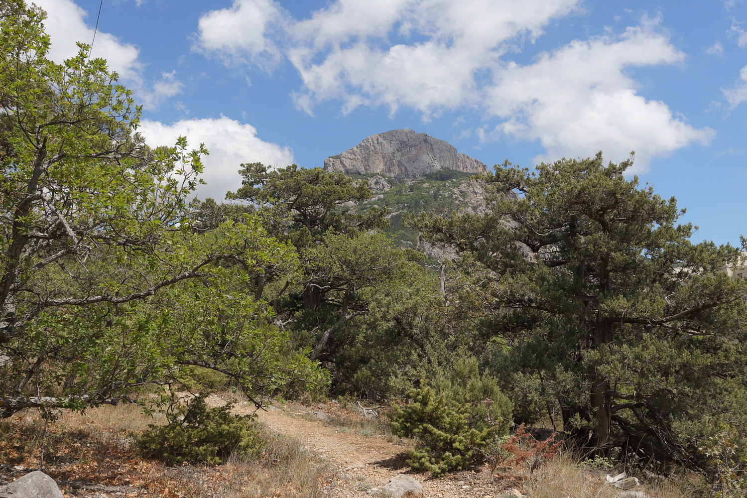 Ласпи, image of landscape/habitat.