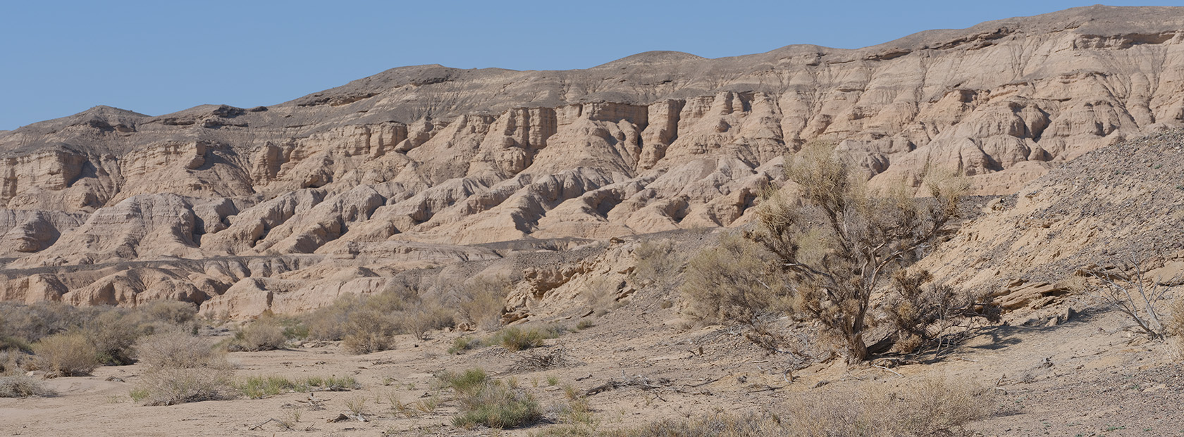 Сарымсакты, image of landscape/habitat.