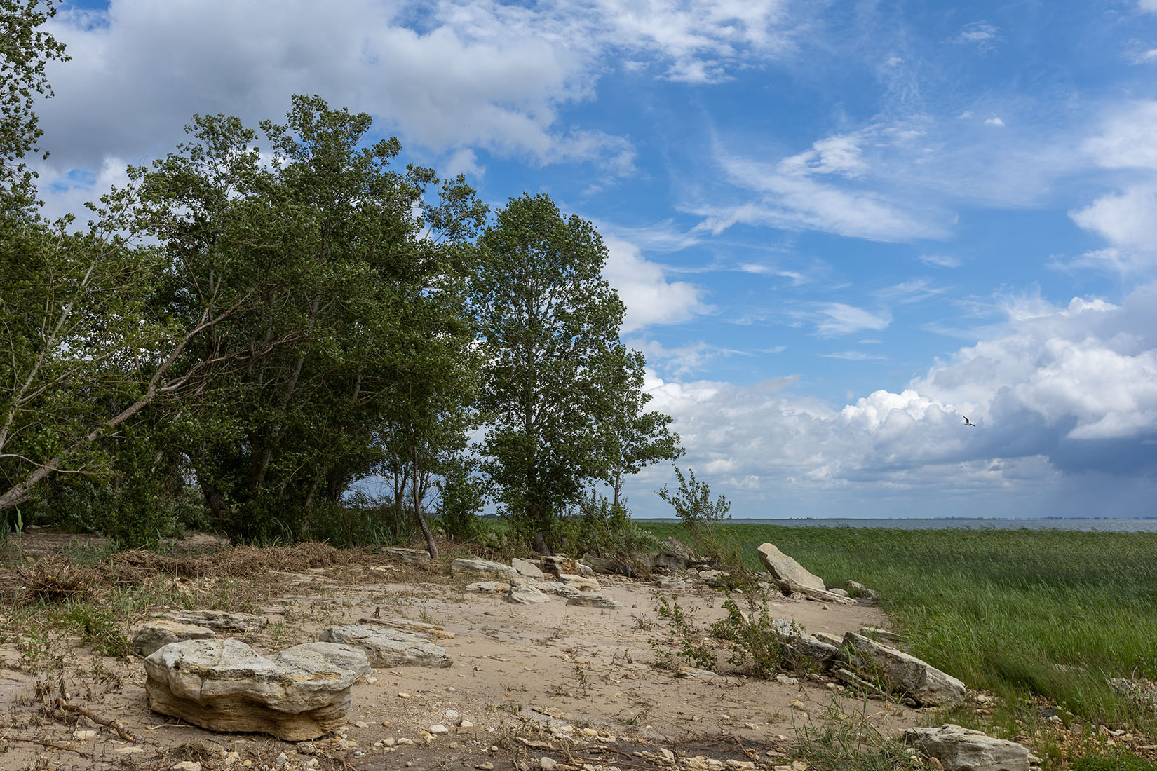 Мержаново, image of landscape/habitat.