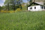 Изображение ландшафта