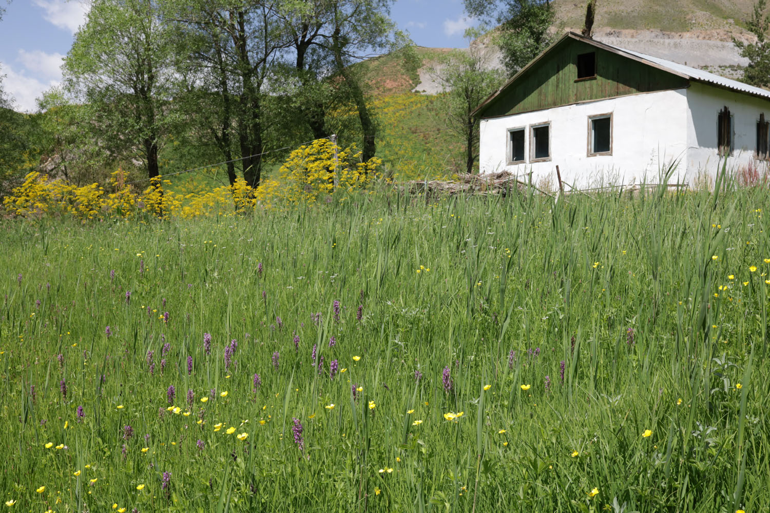 Сияку, image of landscape/habitat.