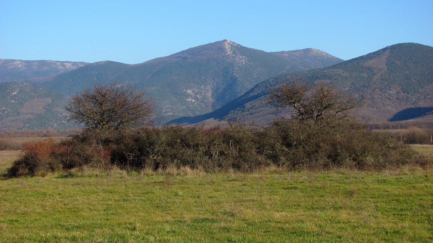 Байдарская долина, image of landscape/habitat.