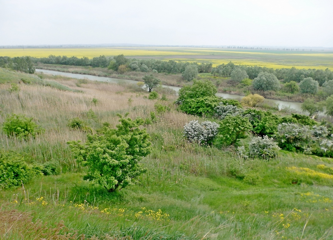 Дубовый Рынок, image of landscape/habitat.