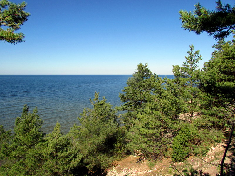 Заповедник Панга, image of landscape/habitat.