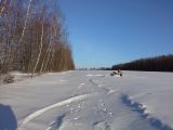 Окрестности деревни Чёлохово, image of landscape/habitat.